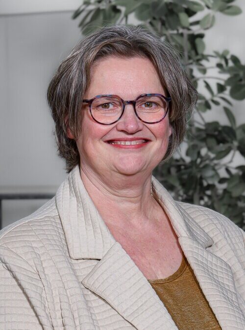 Op de plaats (van) rust